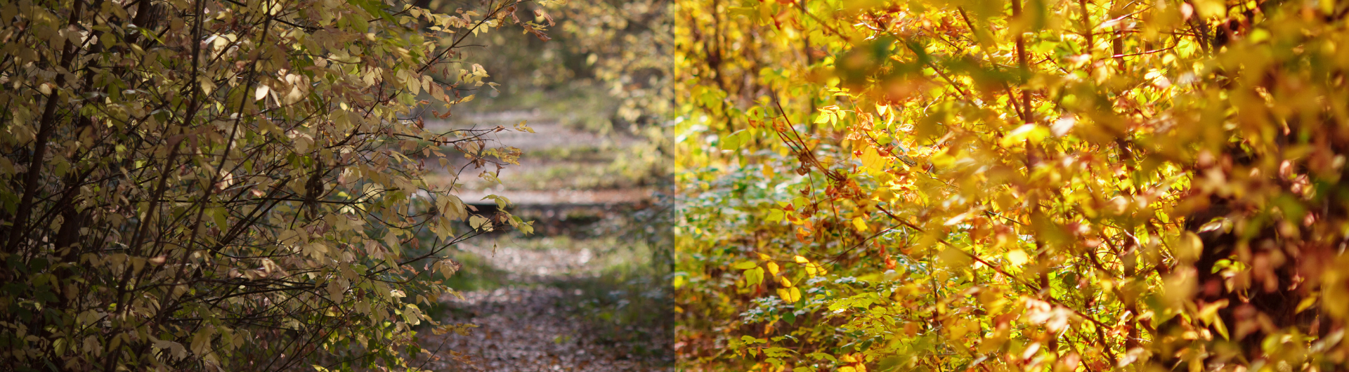 Tres tipos de Máscaras en Photoshop